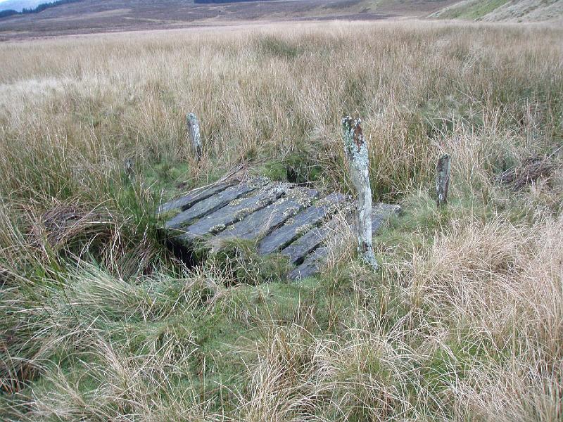 Wales Dec 12 022.jpg